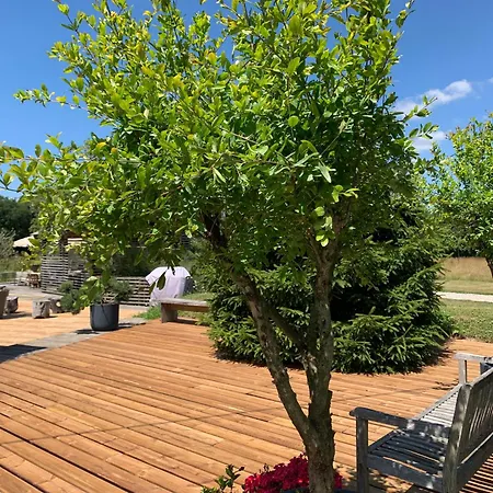 Maison De Architecte Villa