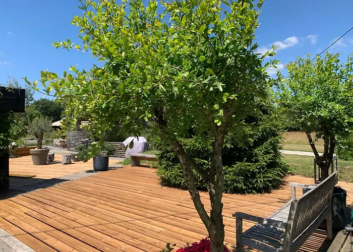 Maison De Architecte Villa